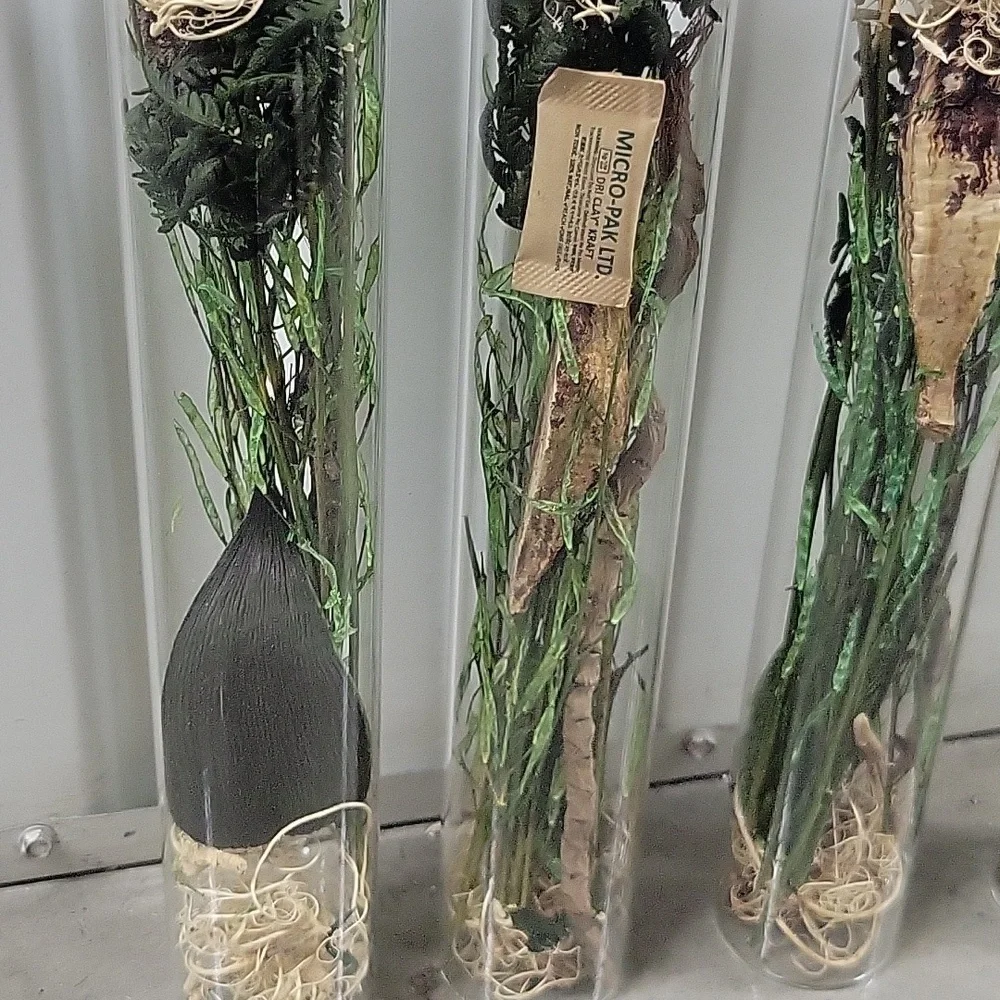 Ashland Faux Floral Tubes - Green and Brown Perfect For Home Decor. Holidays.